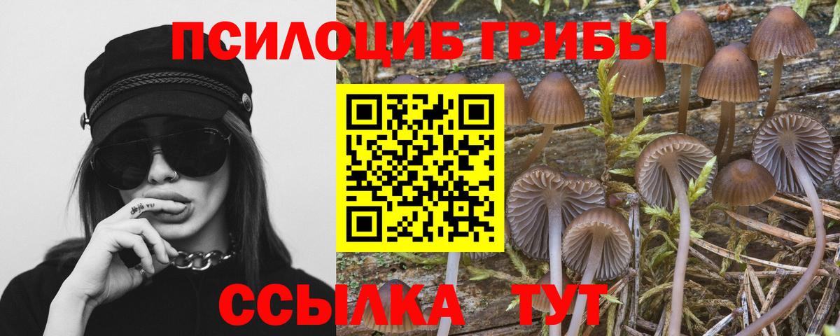 Гусь-Хрустальный  Галлюциногенные грибы Magic Shrooms  купить   Вход с VPN 