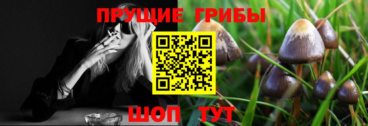 Псилоцибиновые грибы Psilocybine cubensis Гусь-Хрустальный